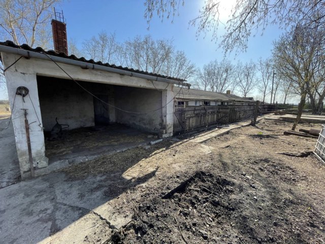 Eladó mezogazdasagi ingatlan, Bölcskén, Ady Endre utcában