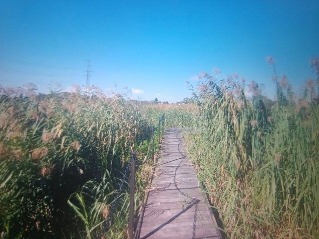 Eladó telek, Majosházán 140 M Ft / költözzbe.hu