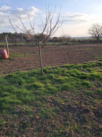 Eladó telek, Siófokon 17 M Ft / költözzbe.hu