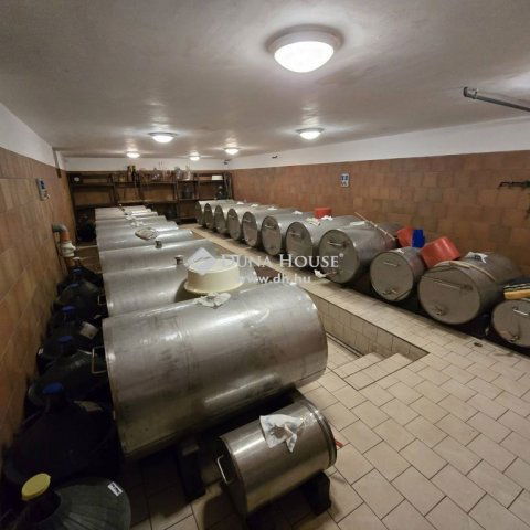 Eladó mezogazdasagi ingatlan, Lakitelken 399 M Ft, 6 szobás