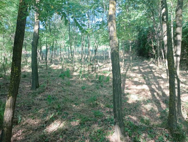 Eladó telek, Zalaszentgróton 3.5 M Ft / költözzbe.hu