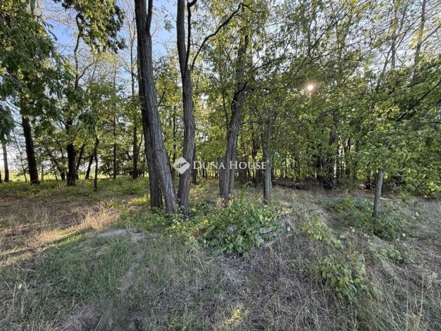 Eladó mezogazdasagi ingatlan, Orgoványon 79.9 M Ft, 3 szobás