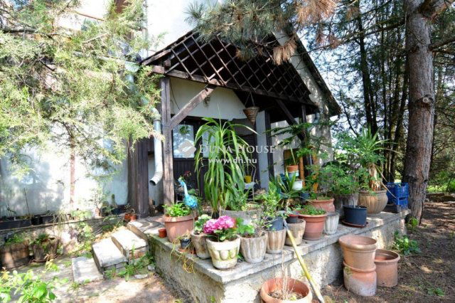 Eladó családi ház, Lajosmizsén 34.9 M Ft, 3 szobás