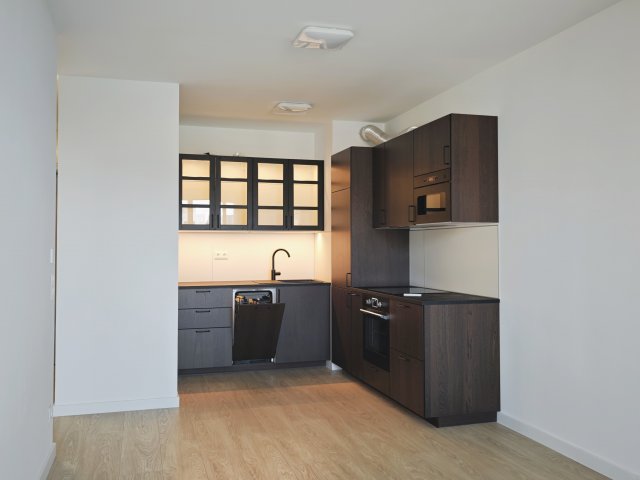 Kiadó téglalakás, albérlet, Budapesten, IX. kerületben