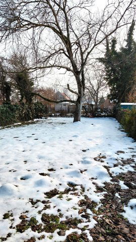 Eladó családi ház, Balatonkenesén 99 M Ft, 4 szobás