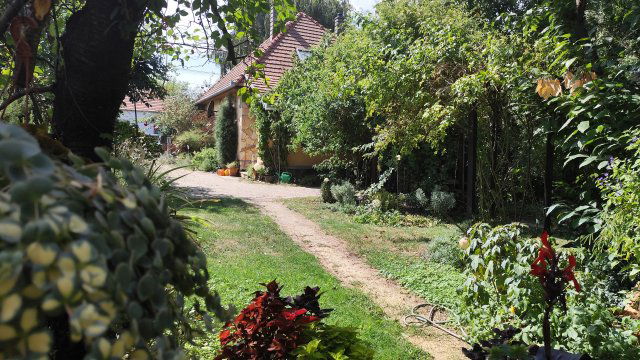 Eladó családi ház, Mihályin 44 M Ft, 2 szobás