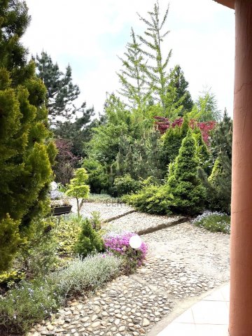 Kiadó családi ház, albérlet, Telkin 250 E Ft / hó, 2 szobás