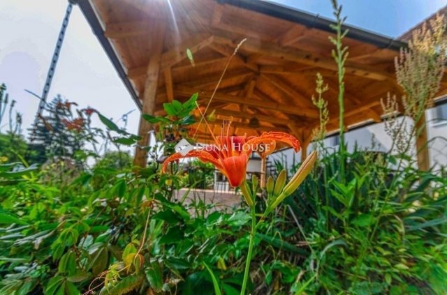 Eladó családi ház, Domonyban 117 M Ft, 4 szobás