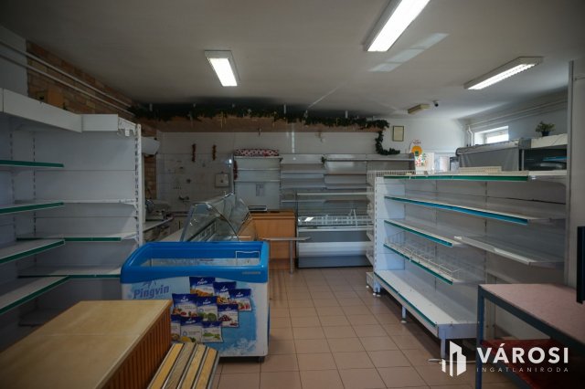 Eladó üzlethelyiség, Örkényen 59.9 M Ft, 12 szobás