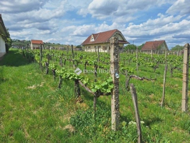 Eladó telek, Villányban 29.9 M Ft / költözzbe.hu