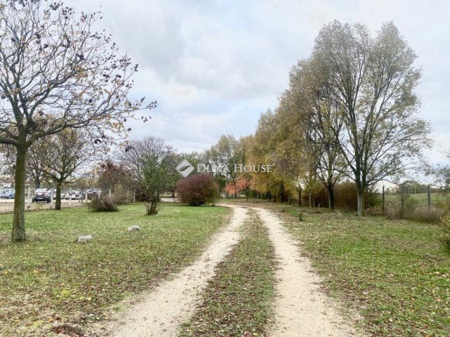 Eladó telek, Dabason 133.8 M Ft / költözzbe.hu