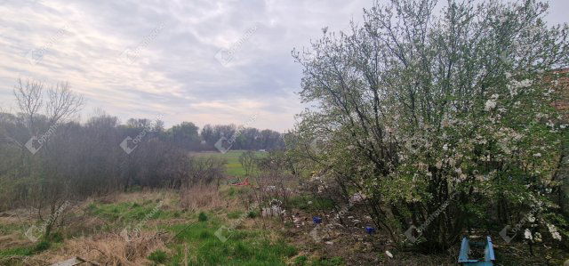 Eladó telek, Bodrogolasziban 2.5 M Ft / költözzbe.hu