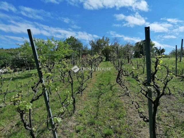 Eladó családi ház, Bicskén 19 M Ft, 2 szobás