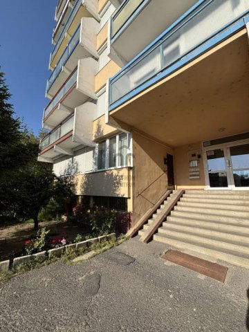 Kiadó panellakás, albérlet, Budapesten, XX. kerületben, 1 szobás