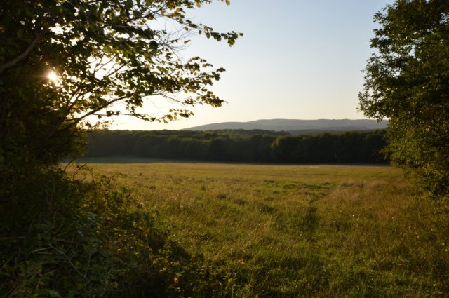 Eladó telek, Hárskúton 30 M Ft / költözzbe.hu