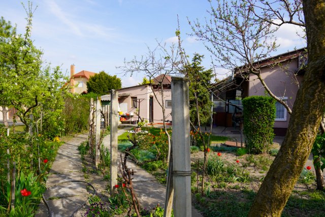 Eladó családi ház, Szigethalmon 78 M Ft, 2 szobás