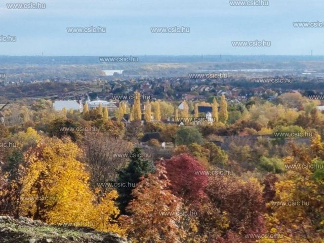 Eladó telek, Szentendrén 60 M Ft, 1 szobás / költözzbe.hu