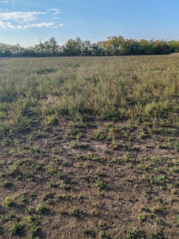 Eladó telek, Kengyelen 2.4 M Ft / költözzbe.hu