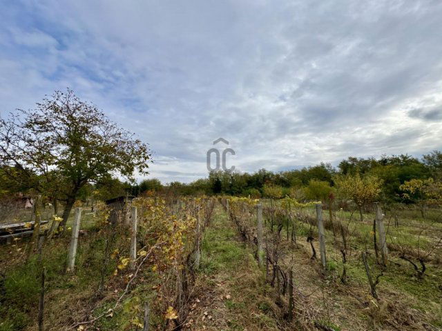 Eladó nyaraló, Beleznán 3.5 M Ft, 2 szobás