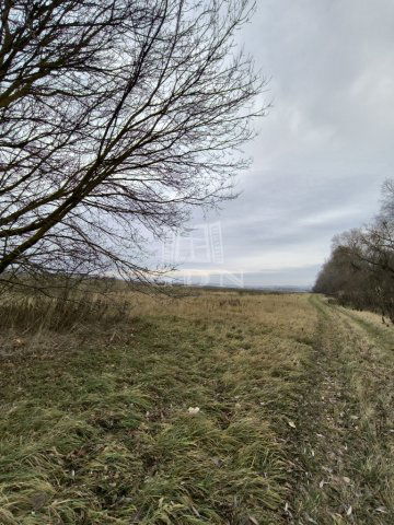 Eladó mezogazdasagi ingatlan, Veresegyházon 4.9 M Ft