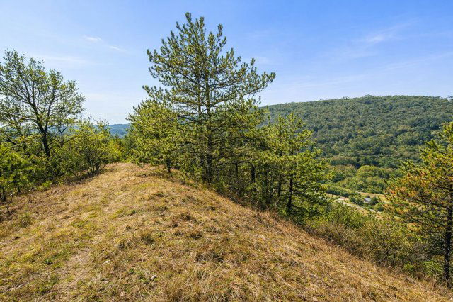 Eladó telek, Kincsesbányán 49 M Ft / költözzbe.hu