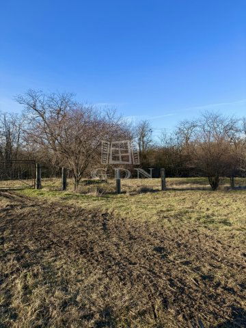 Eladó mezogazdasagi ingatlan, Sárbogárdon 125 M Ft