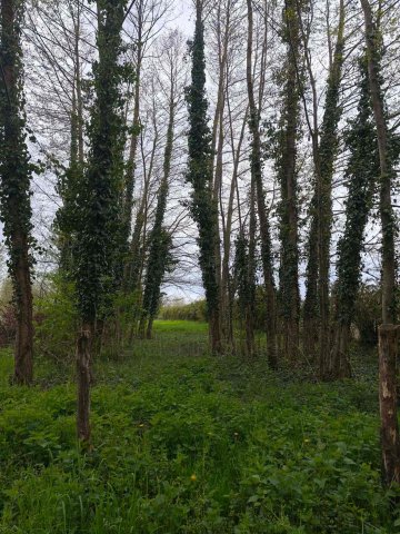 Eladó családi ház, Gyékényesen 38.2 M Ft, 2 szobás