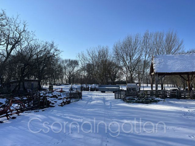 Eladó mezogazdasagi ingatlan, Potyondon 57 M Ft