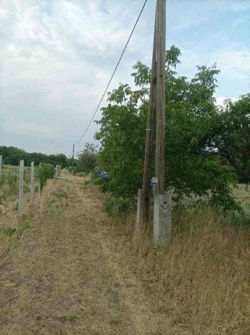 Eladó mezogazdasagi ingatlan, Csemőn 6.9 M Ft