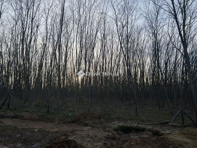 Eladó mezogazdasagi ingatlan, Gödöllőn 18 M Ft, 2 szobás