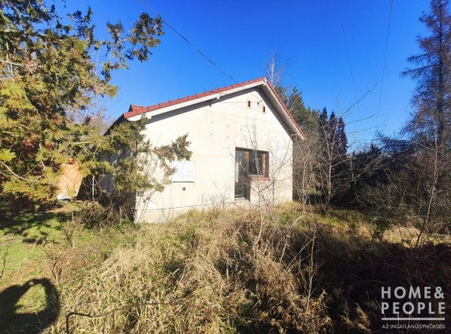 Eladó családi ház, Ópusztaszeren 17 M Ft, 2 szobás