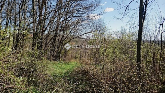 Eladó telek, Pécselyen 15.1 M Ft / költözzbe.hu
