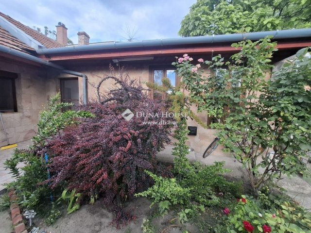Eladó családi ház, Kiskunfélegyházán 20 M Ft, 1 szobás
