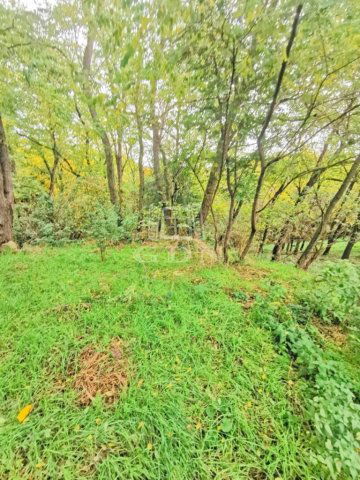 Eladó telek, Gersekaráton 12 M Ft / költözzbe.hu