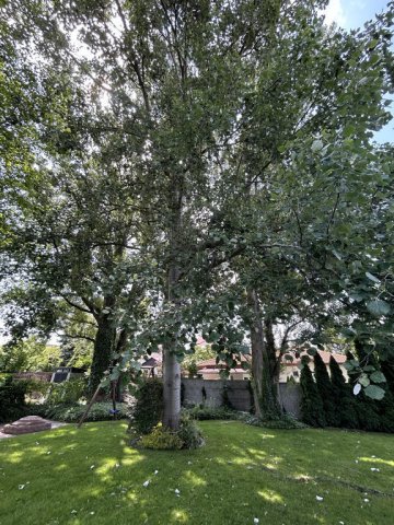 Eladó családi ház, Budapesten, XVII. kerületben 349 M Ft