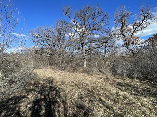 Eladó telek, Dörgicsén 12 M Ft / költözzbe.hu