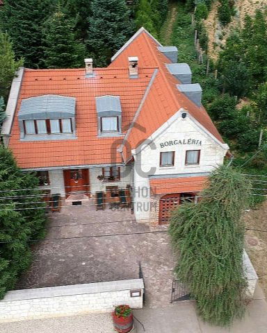 Eladó üzlethelyiség, Tokajban 290 M Ft / költözzbe.hu