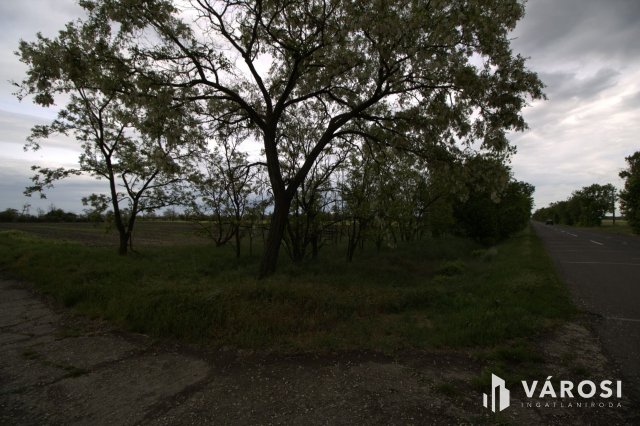 Eladó mezogazdasagi ingatlan, Tótkomlóson 0.07 M Ft