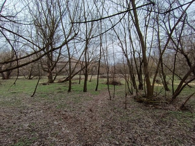 Eladó családi ház, Csemőn 89 M Ft, 4 szobás