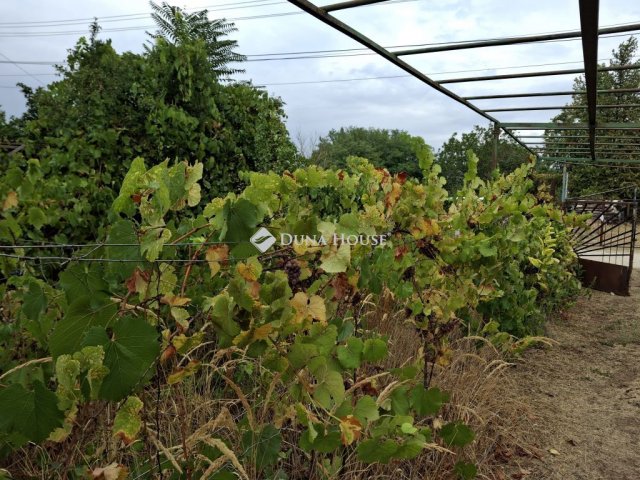 Eladó családi ház, Kulcson, Orgona utcában 18.5 M Ft, 1 szobás
