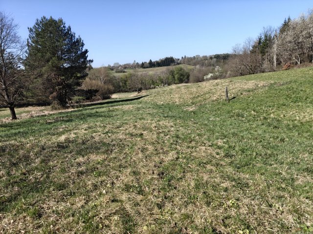 Eladó telek, Szalafőn 48 M Ft / költözzbe.hu