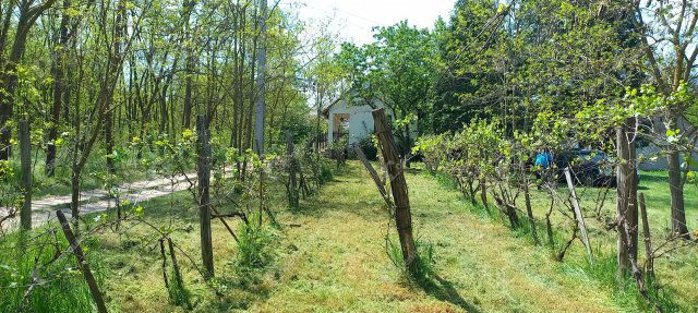 Eladó telek, Téten 8 M Ft / költözzbe.hu