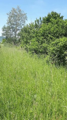 Eladó telek, Pomázon 10.7 M Ft / költözzbe.hu