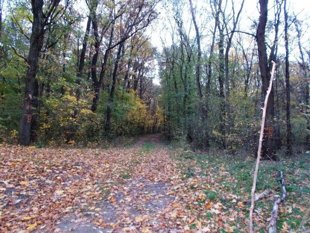 Eladó mezogazdasagi ingatlan, Nádasdladányban 111 M Ft