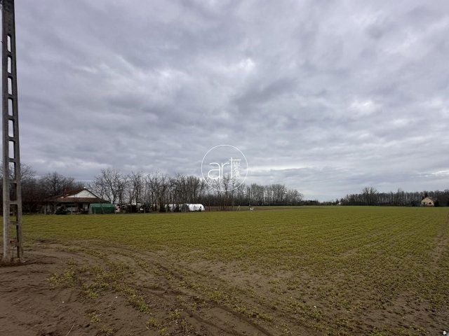 Eladó mezogazdasagi ingatlan, Domaszéken 32 M Ft