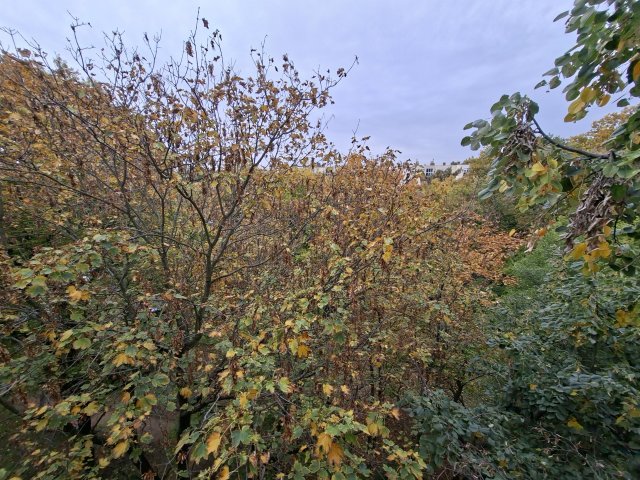 Eladó téglalakás, Debrecenben, Rózsahegy utcában 44.5 M Ft