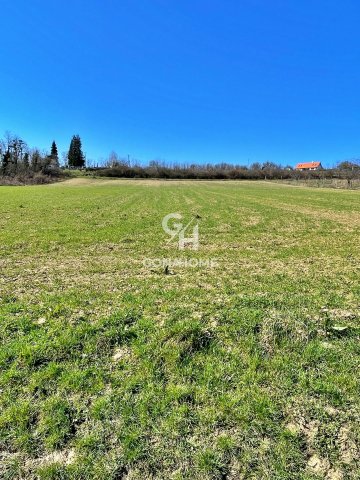 Eladó mezogazdasagi ingatlan, Balatoncsicsón 29.5 M Ft