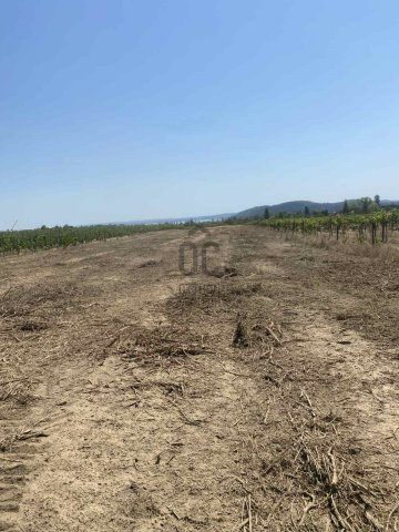 Eladó mezogazdasagi ingatlan, Balatonfüreden 15.9 M Ft
