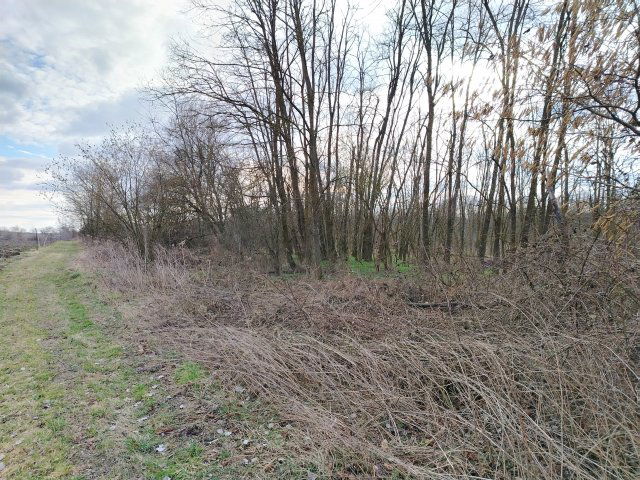 Eladó telek, Kisasszondon 3.5 M Ft / költözzbe.hu