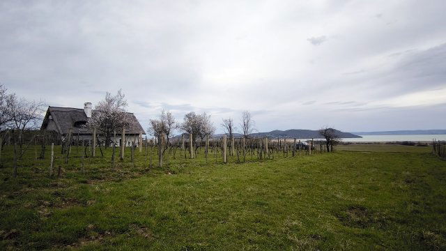 Eladó családi ház, Aszófőn 159.9 M Ft, 4 szobás